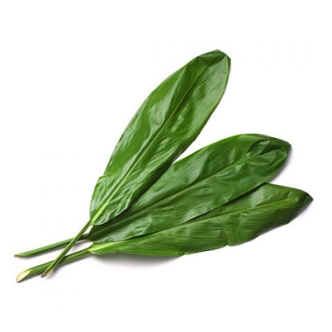 LEI ETIQUETTE - Hawaii Flower Lei