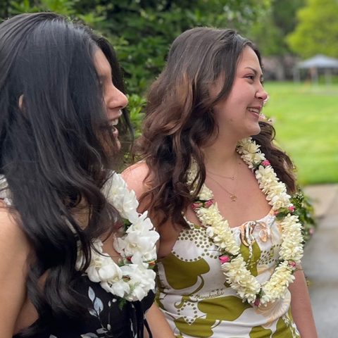 Fresh Hawaiian Orchid Leis Loose Orchid Blooms Hawaii Flower Lei Fresh Hawaiian Orchid Leis Loose Orchid Blooms Hawaii Flower Lei